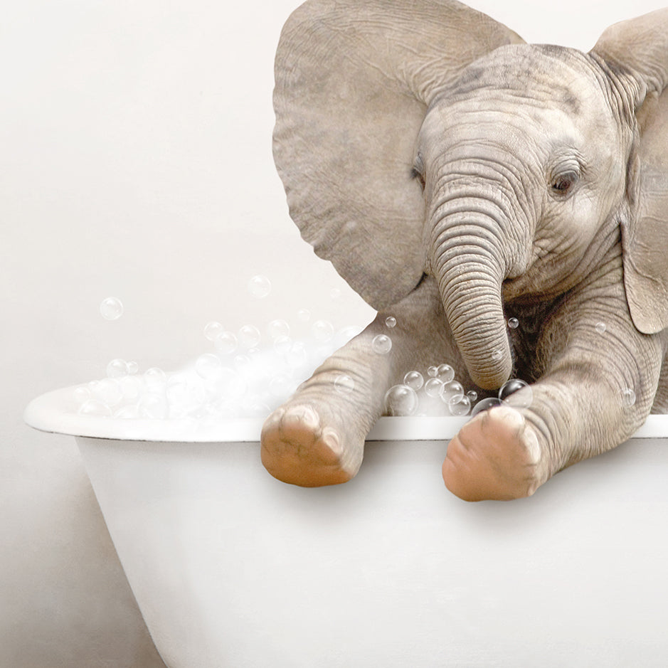 Baby Elephant No6 in Rustic Bath