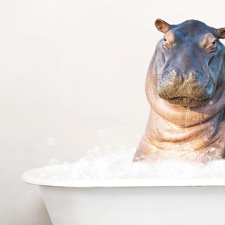 Baby Hippo in Rustic Bath