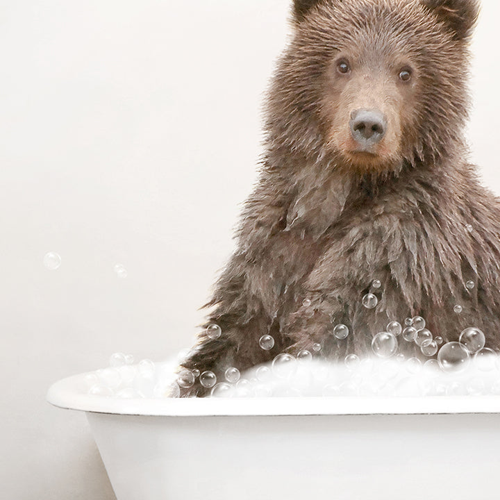 Brown Bear in Rustic Bath