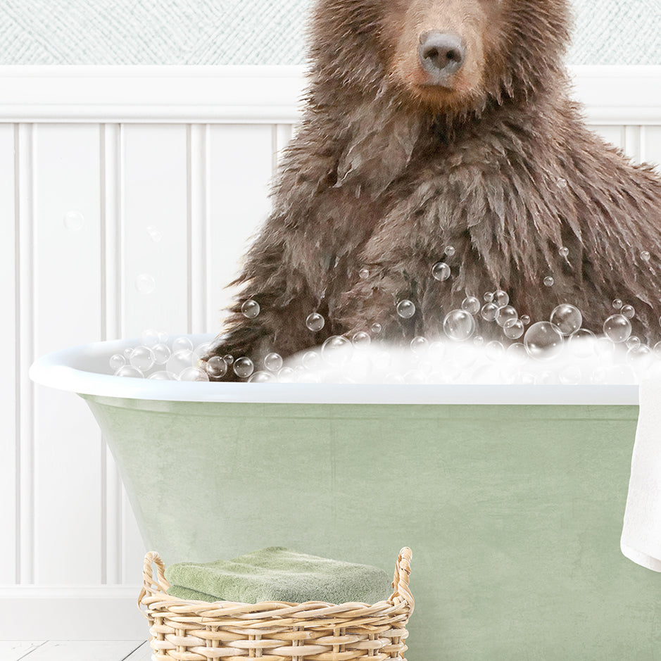 Bear in Cottage Green Bath