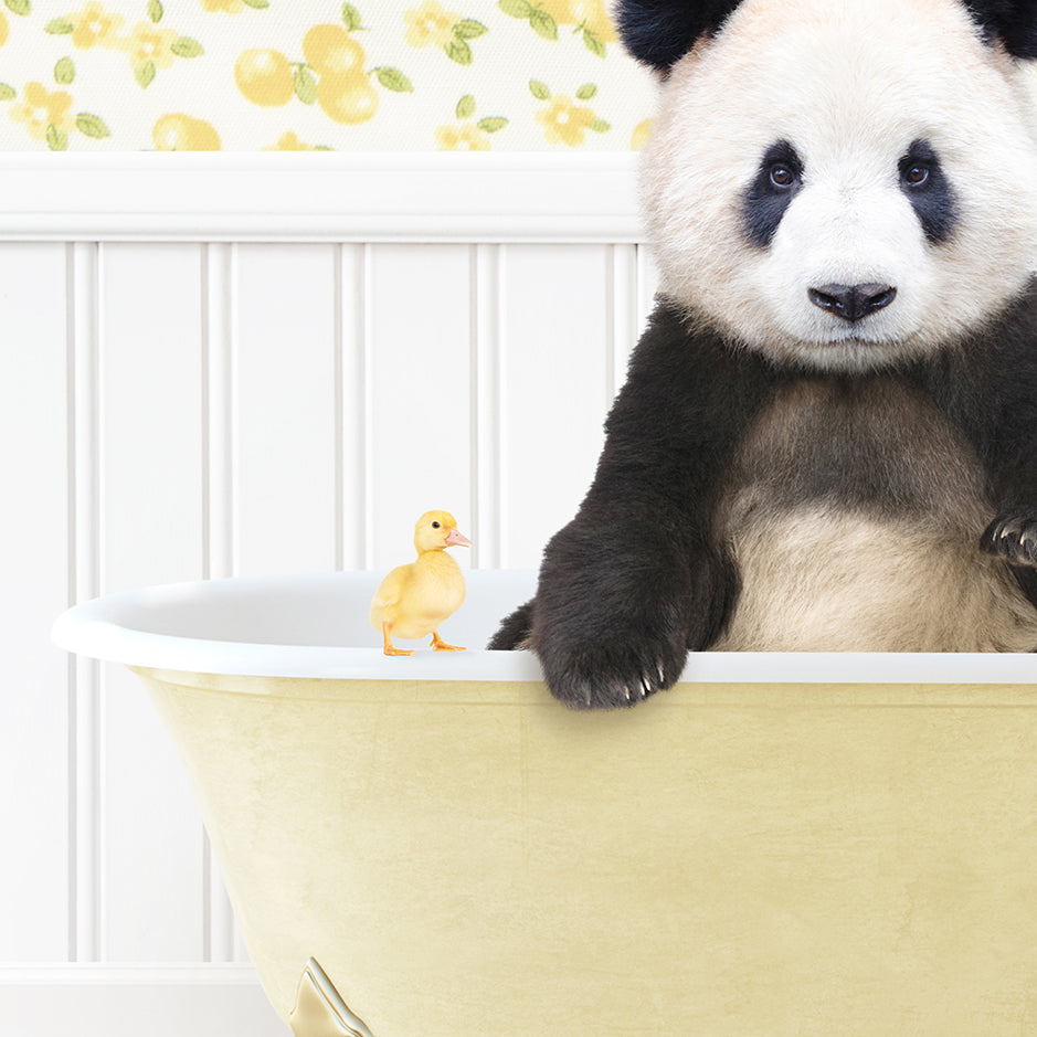 a panda bear sitting in a bathtub with a rubber duck