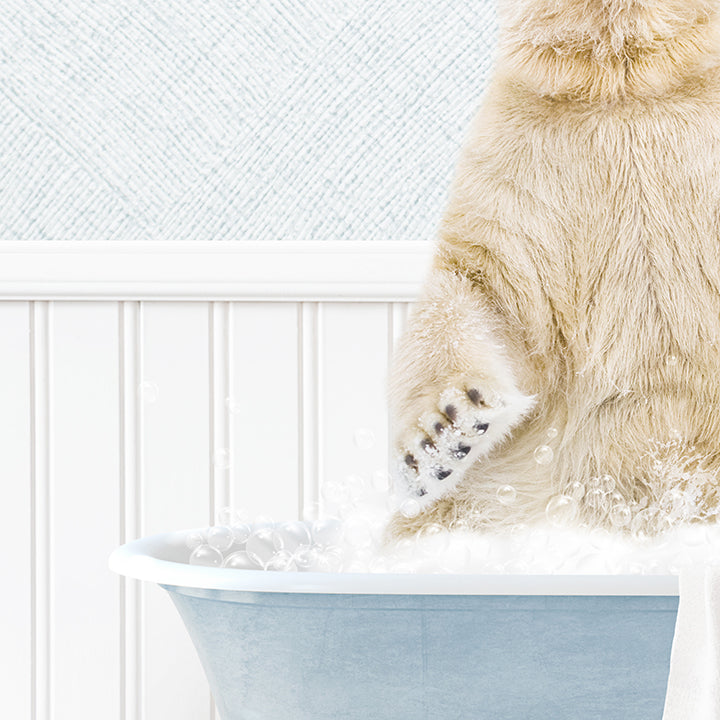 Polar Bear in Cottage Blue Bath