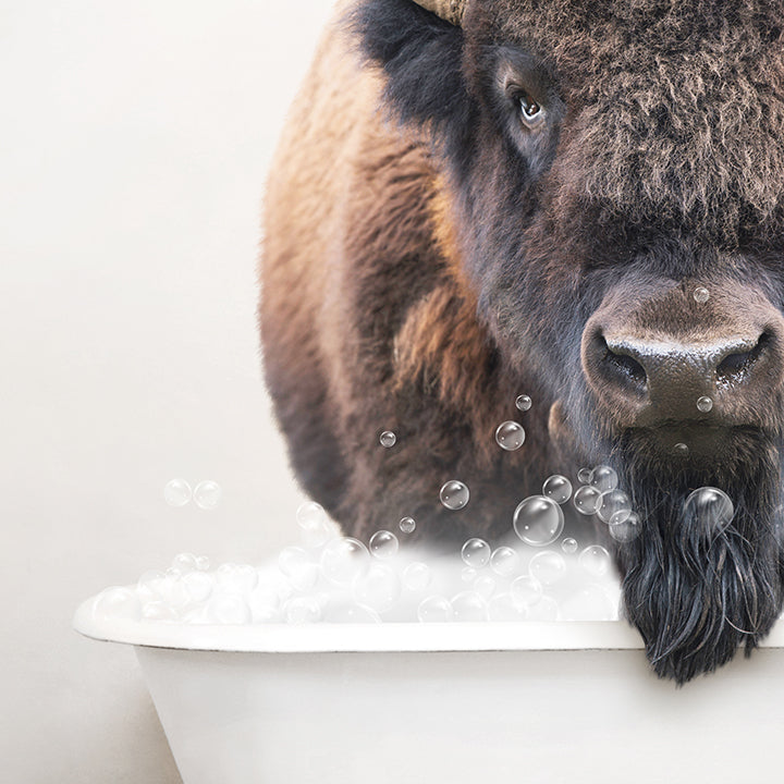 Bison in Rustic Bath