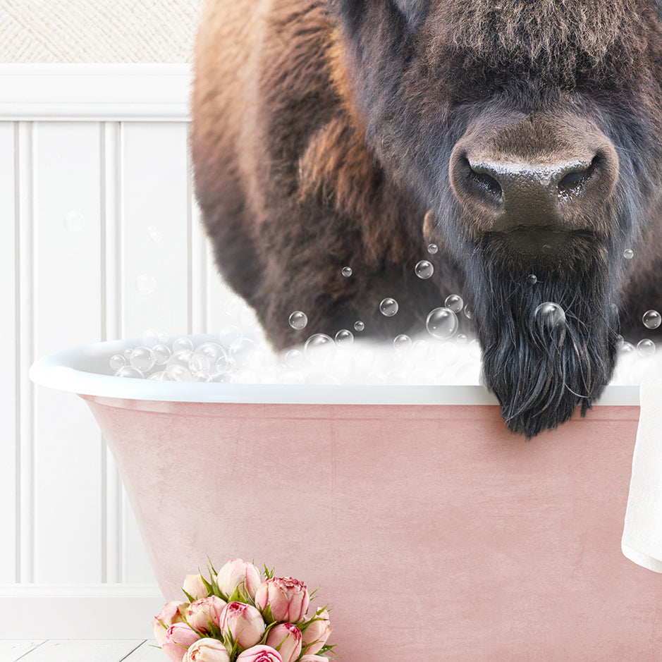 Bison in Cottage Pink Bath