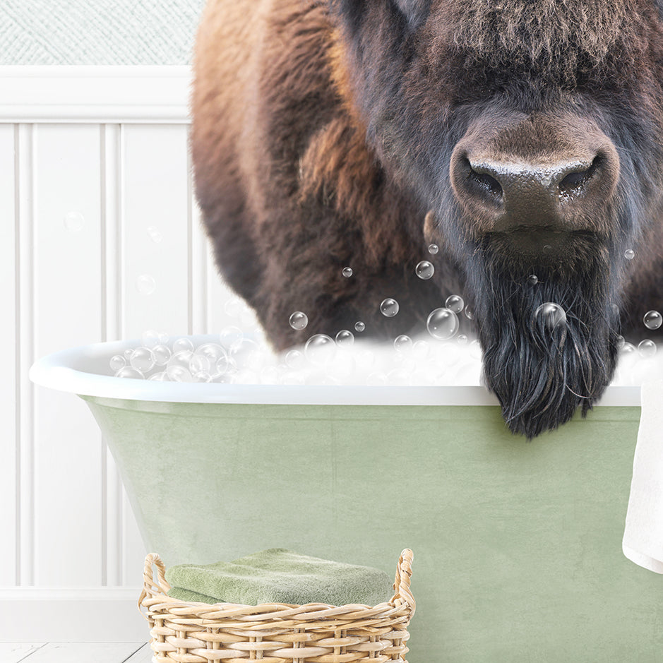 Bison in Cottage Green Bath