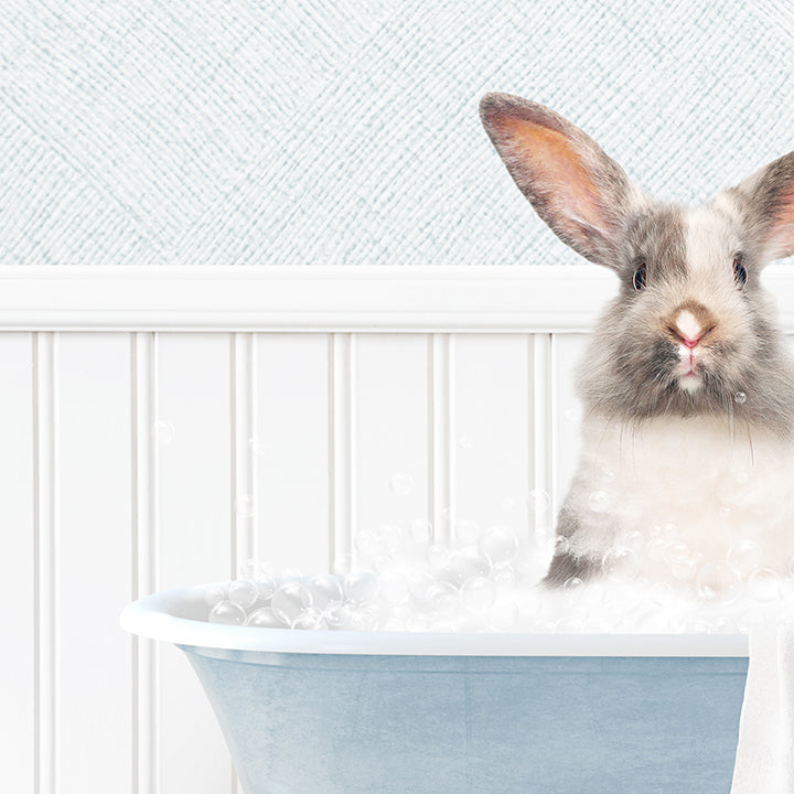 Bunny in Cottage Blue Bath