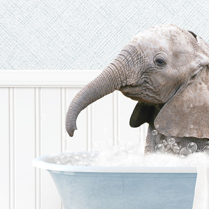 Baby Elephant No1 in Cottage Blue Bath