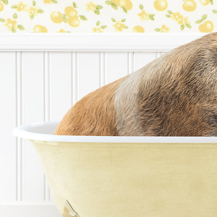 a dog is taking a bath in a bathtub