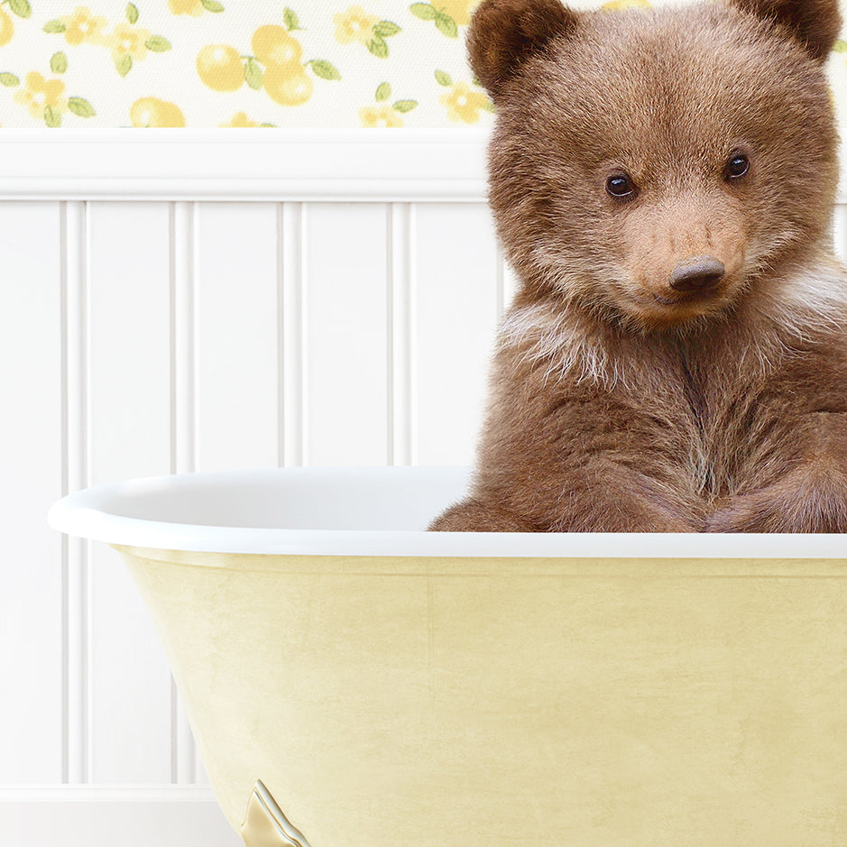 a small brown bear sitting in a bath tub