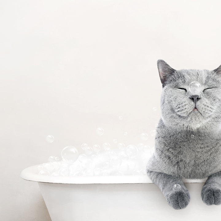 Cat in Rustic Bath