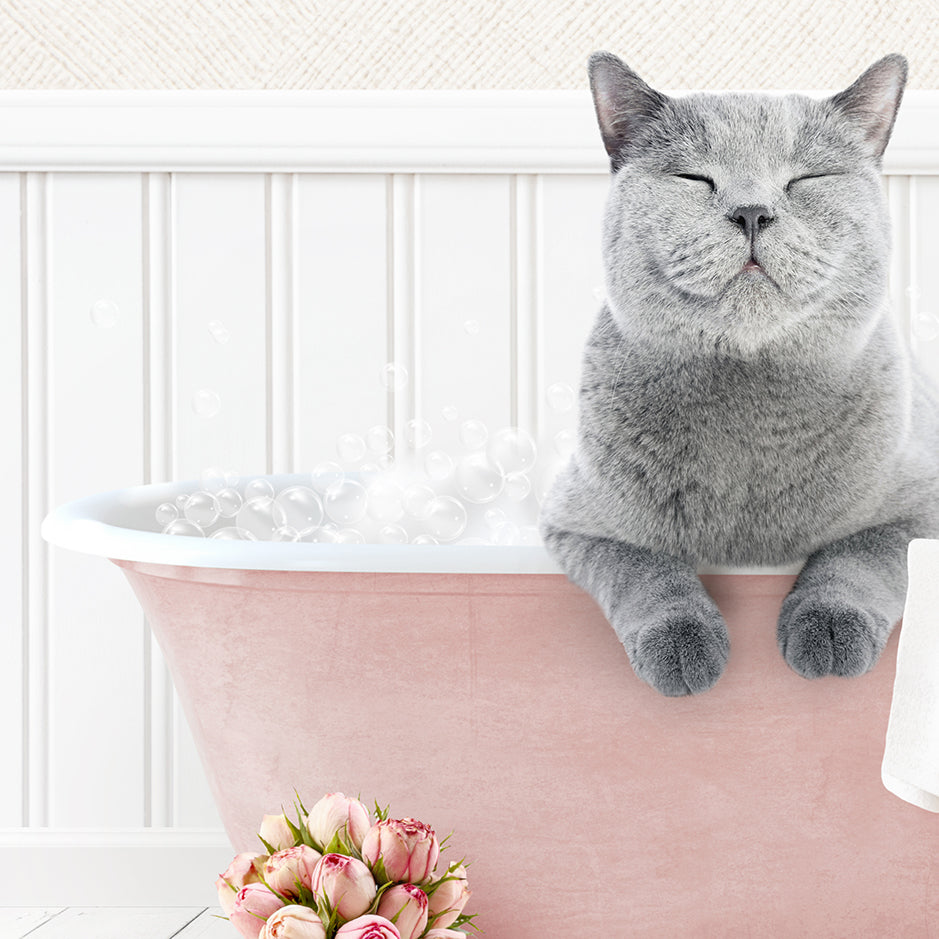 Cat in Cottage Pink Bath