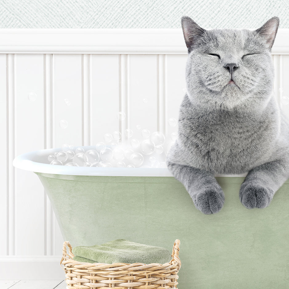 Cat in Cottage Green Bath