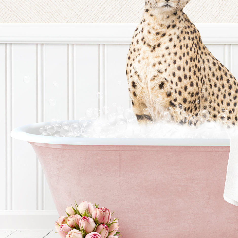 Cheetah in Cottage Pink Bath