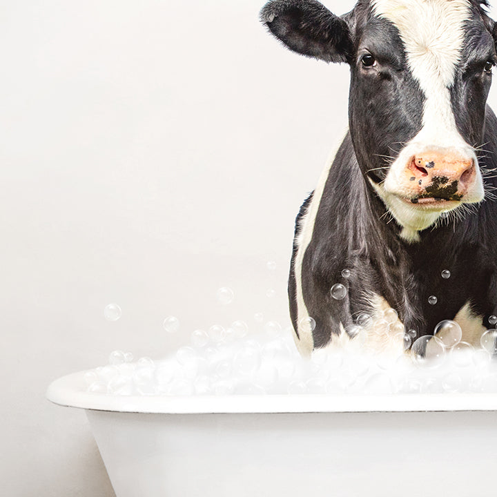 Black and White Cow in Rustic Bath