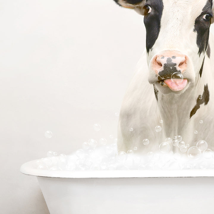 Holstein Cow in Rustic Bath