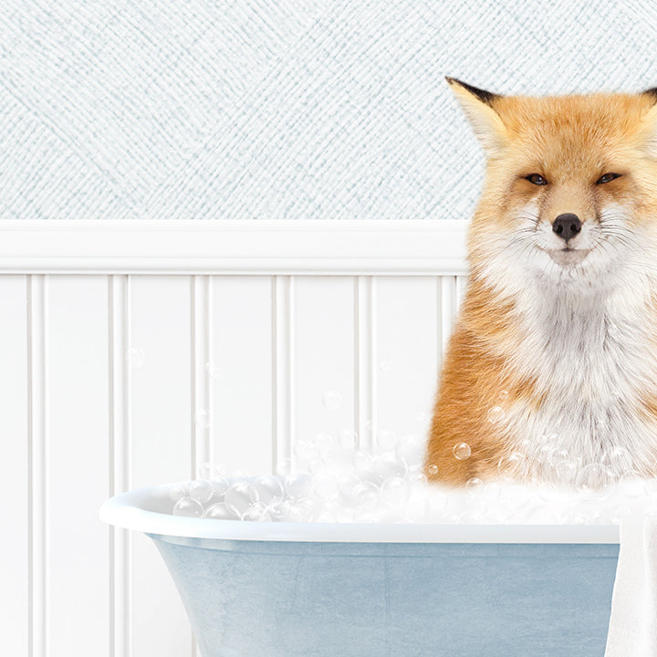 Fox in Cottage Blue Bath