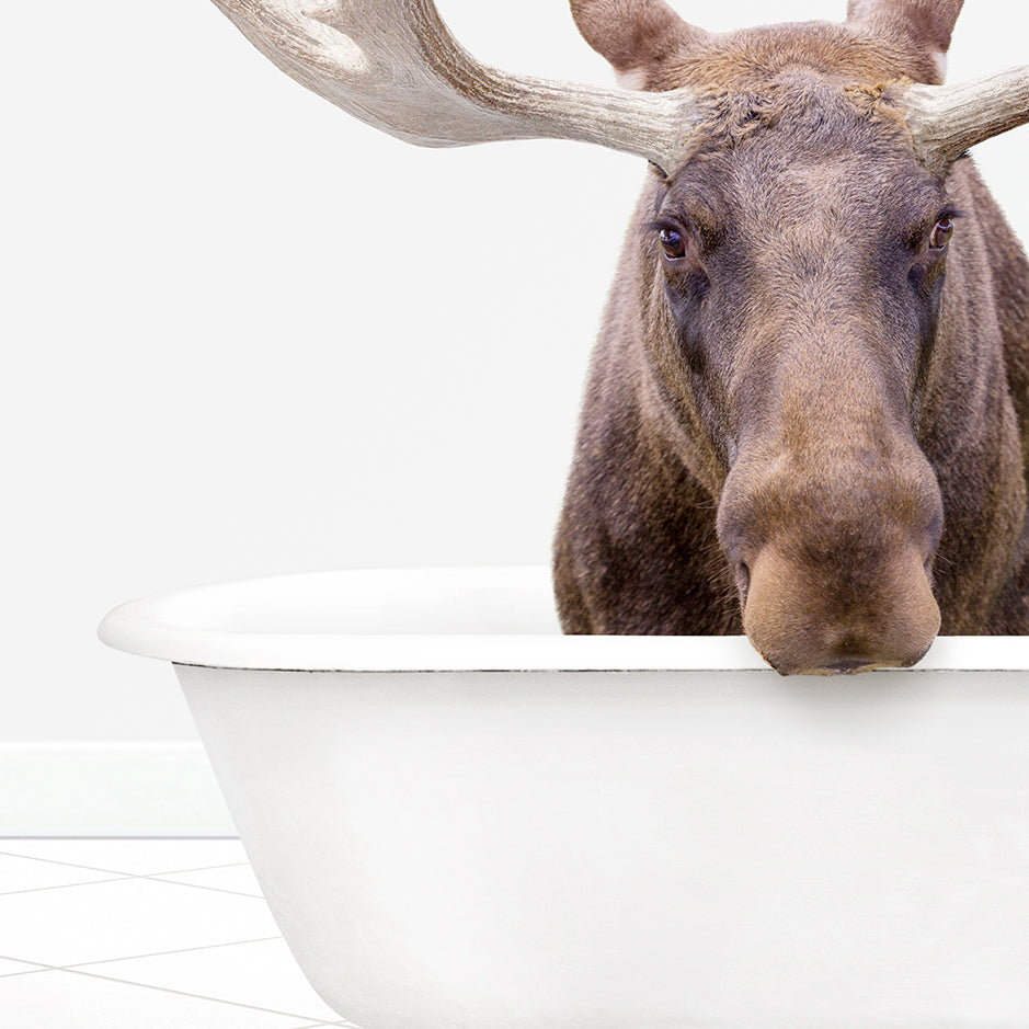 a moose is sticking its head out of a bathtub