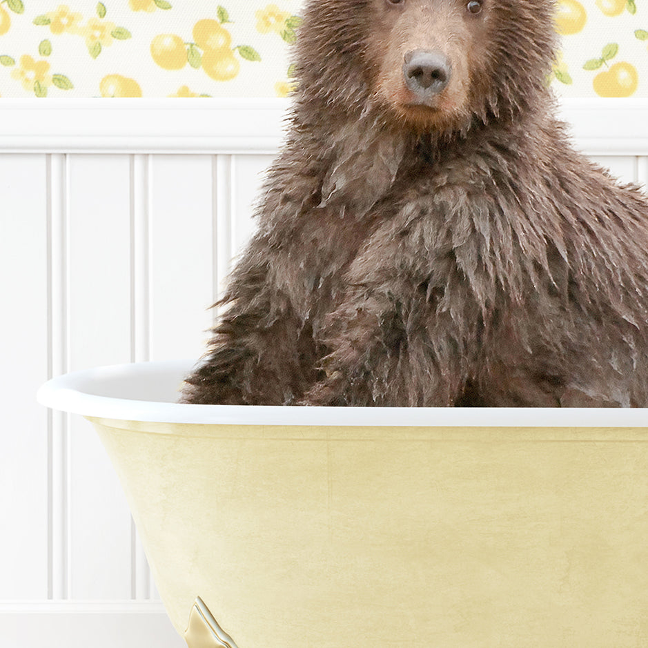 a large brown bear sitting in a bath tub