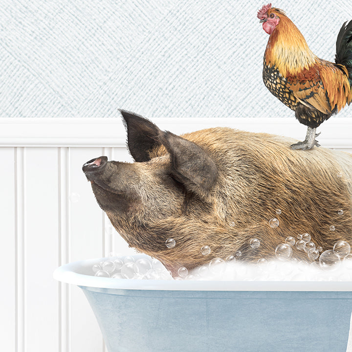 Hog and Rooster in Cottage Blue Bath