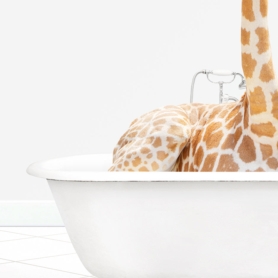 a giraffe laying down in a bathtub