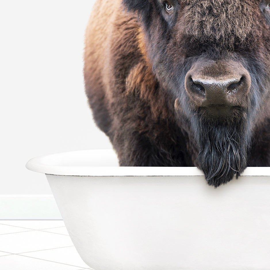 a close up of a bison in a bathtub