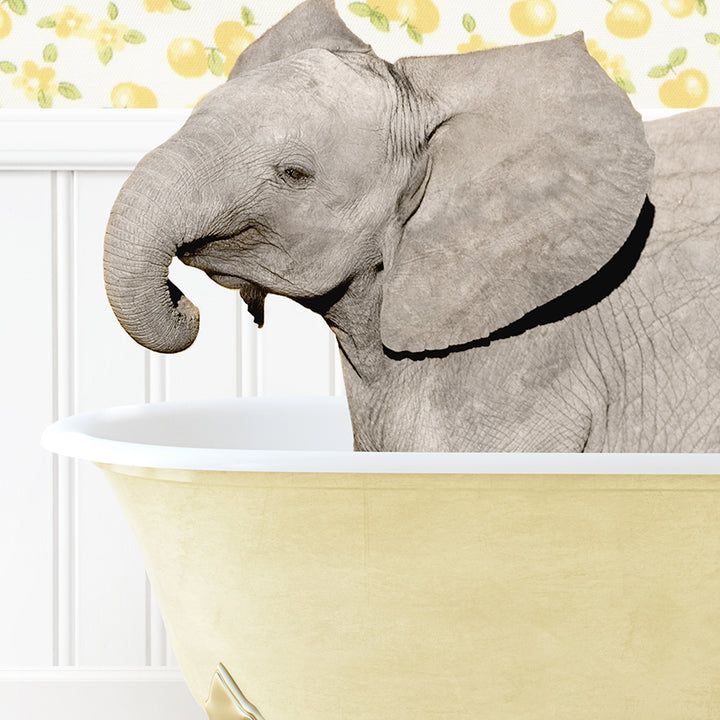 an elephant in a bathtub with a wallpaper behind it