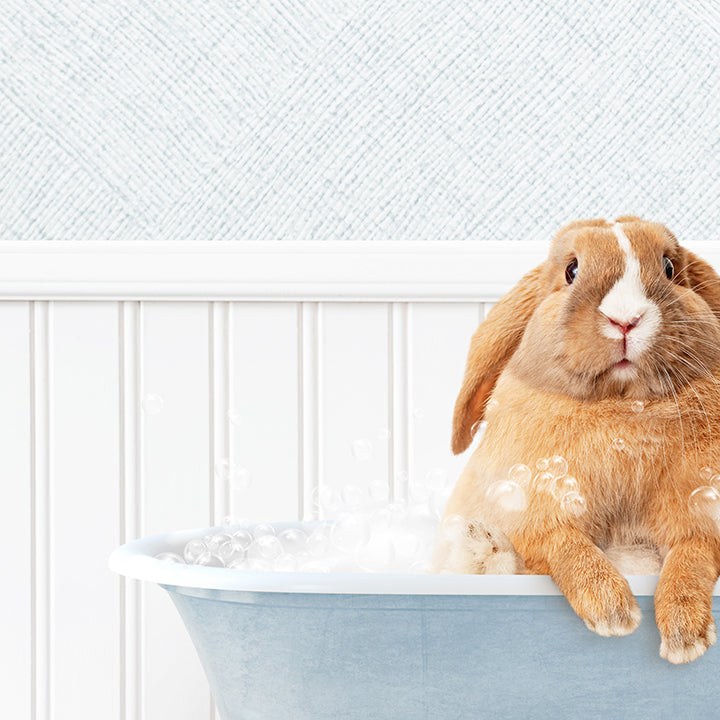 Pudgy Bunny in Cottage Blue Bath