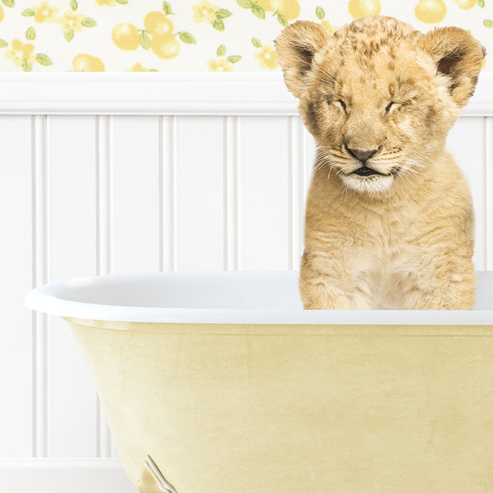 a small lion cub sitting in a bathtub