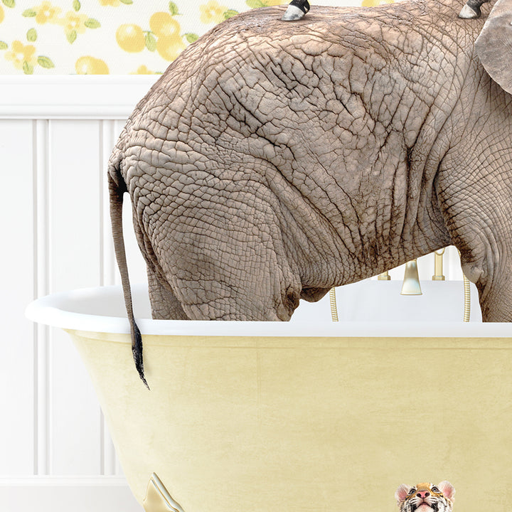 an elephant standing in a bathtub with its trunk in the water