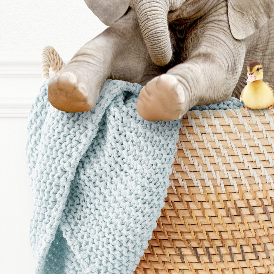 Baby Elephant in Laundry Basket - Simple White Wall