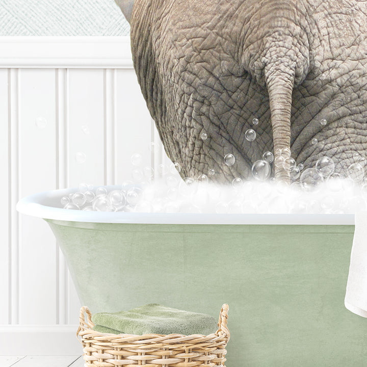 Elephant Back in Cottage Green Bath