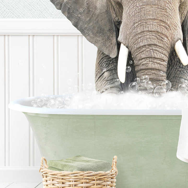 Elephant Front in Cottage Green Bath