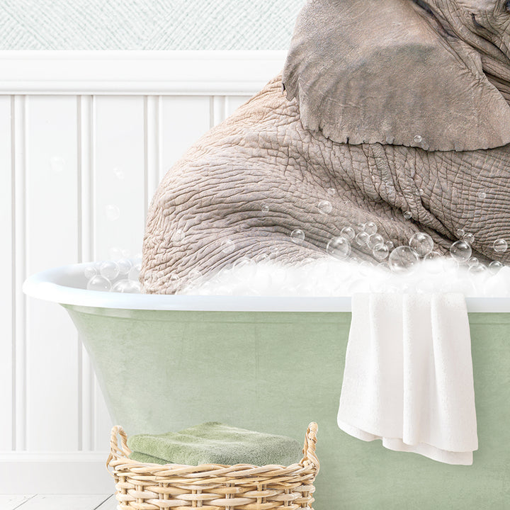 Young Elephant in Cottage Green Bath