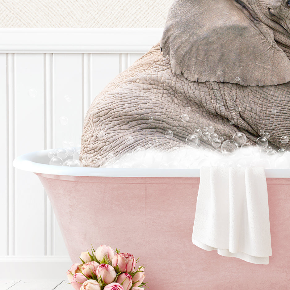 Young Elephant in Cottage Pink Bath