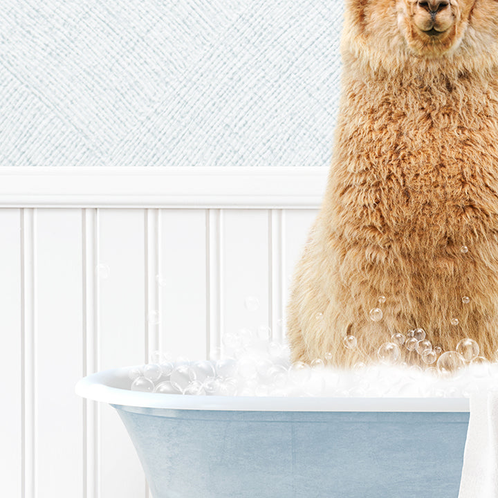 Alpaca in Cottage Blue Bath