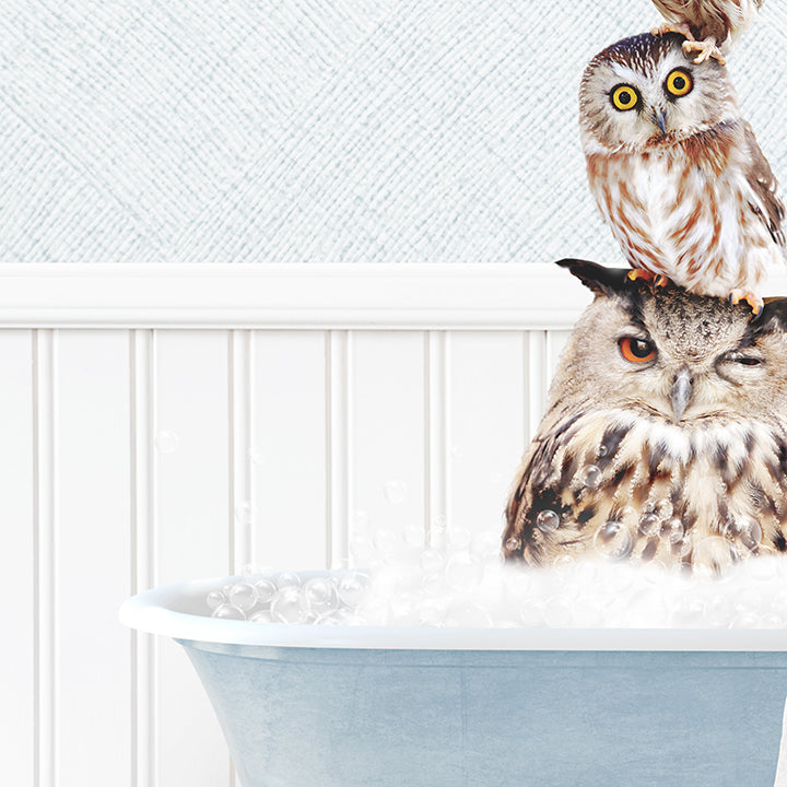 Stacked Owls in Cottage Blue Bath