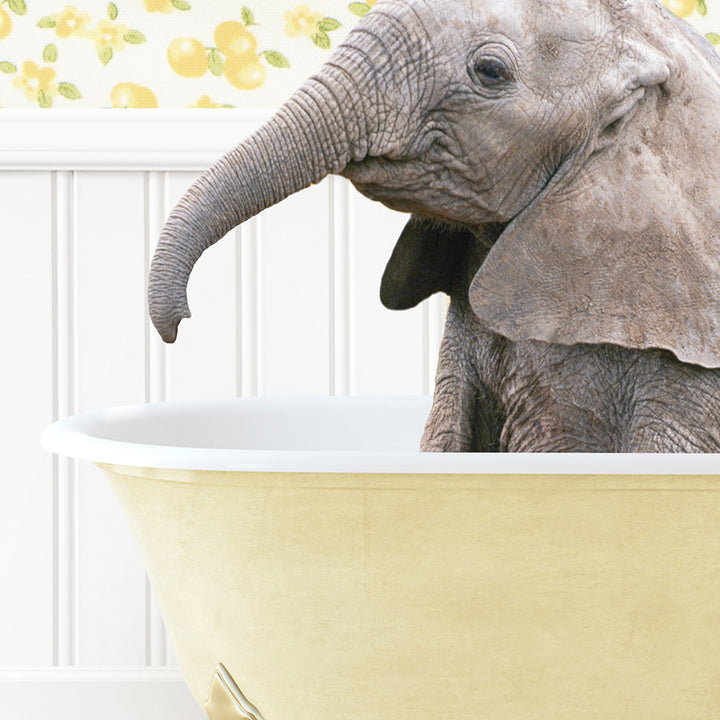 a baby elephant in a bathtub with its trunk sticking out