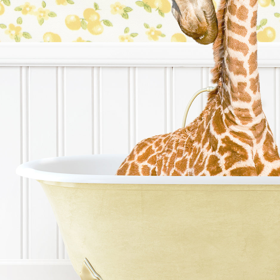 a close up of a giraffe in a bathtub