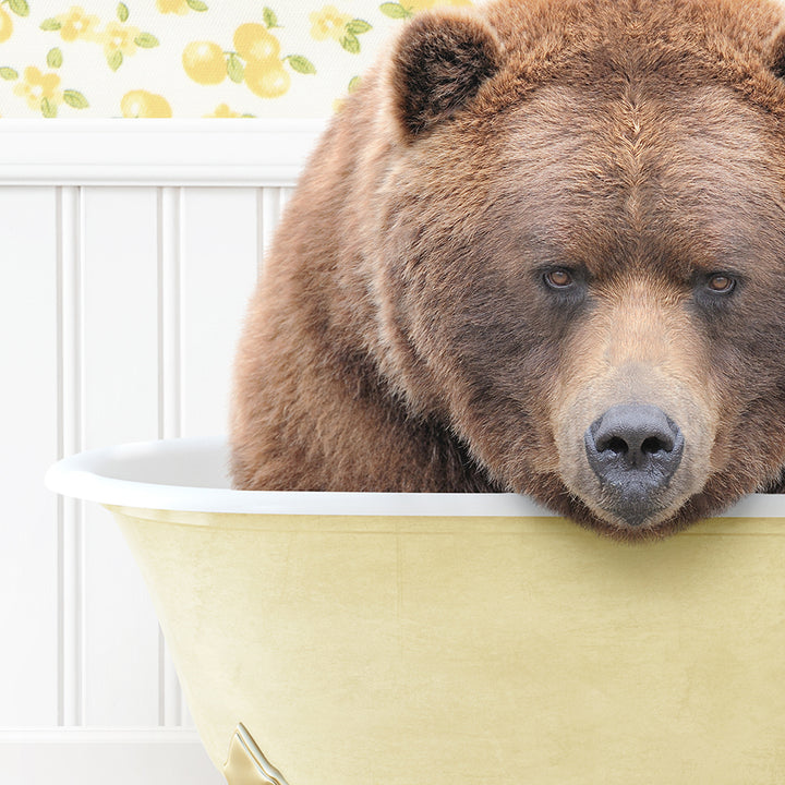 a brown bear sitting in a yellow bowl