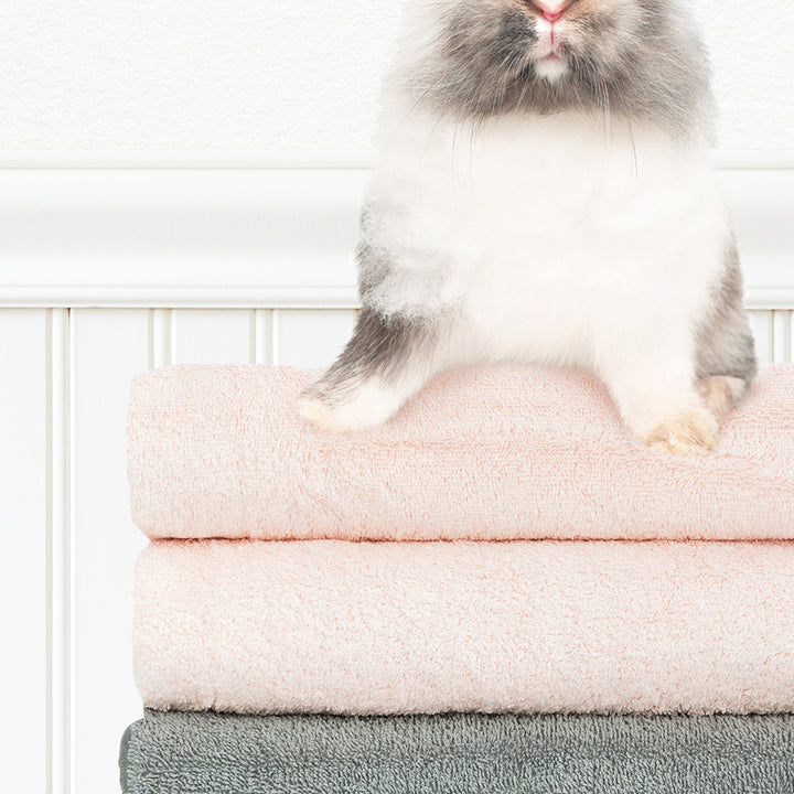 Gray and White Bunny - Laundry Goal Fluffy Towels