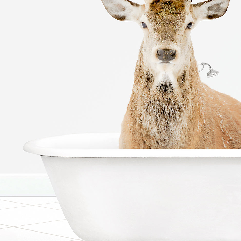 a deer is standing in a bath tub