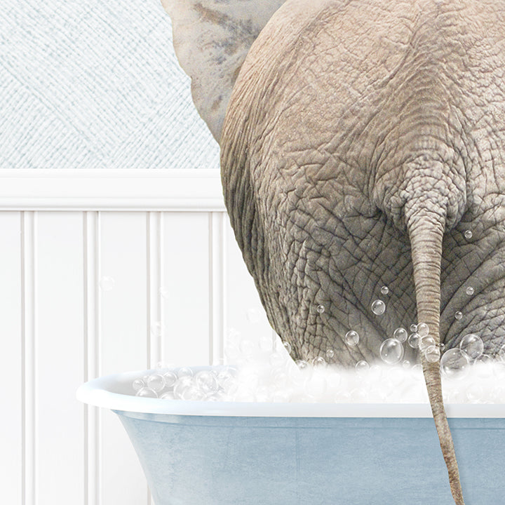 Elephant Back in Cottage Blue Bath