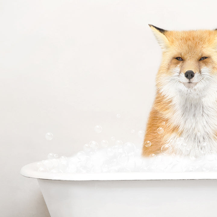 Fox in Rustic Bath