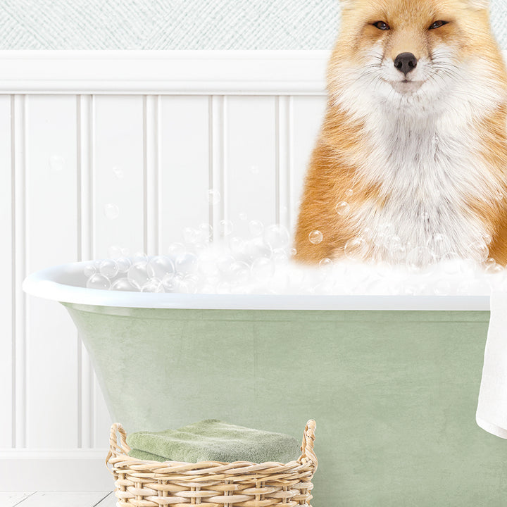 Fox in Cottage Green Bath