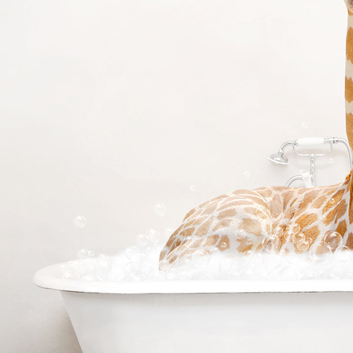 Giraffe in Rustic Bath