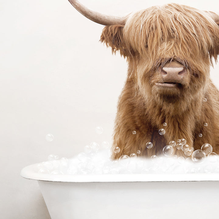 Highland Cow in Rustic Bath