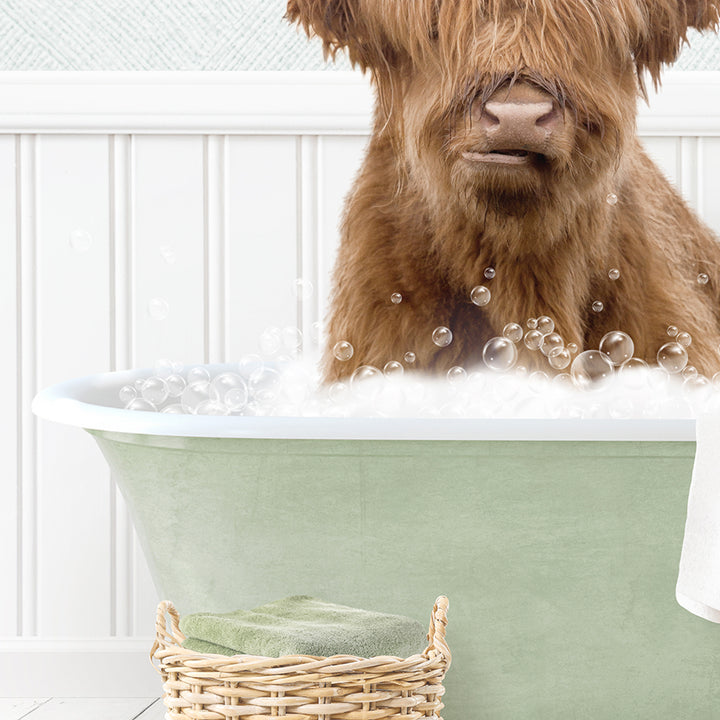 Highland Cow in Cottage Green Bath