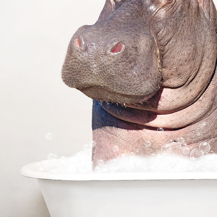 Hippo and Bird in Rustic Bath