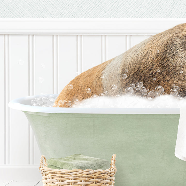 Hog in Cottage Green Bath