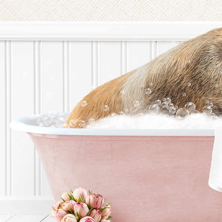 Hog in Cottage Pink Bath